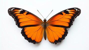 ai generado foto de mariposa aislado en blanco antecedentes. generativo ai