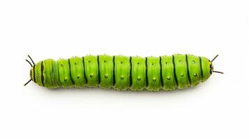 AI generated Photo of Caterpillar isolated on white background. Generative AI