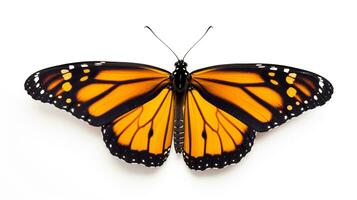 AI generated Monarch Butterfly isolated on white background. Generative AI photo