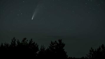 cometa neowise se mueve a través de el noche cielo entre el estrellas. lapso de tiempo 4k video