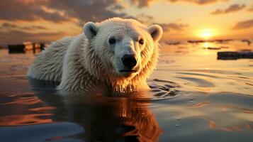 AI generated a photo of a polar bear stranded on a rapidly melting ice floe in the arctic ocean at sunrise. Generative AI