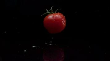 Tomato slow motion closeup falling in water with Splash droplets on black background macro shot cooking video