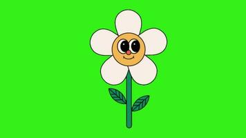 Animated 2d cartoon flower video