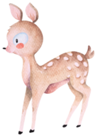 Cartoon deer.Hand drow watercolor.Cute animals.Suitable for children. png