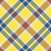 Plaid pattern vector. Check fabric texture. Seamless textile design for clothes, paper print. vector