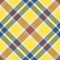 Plaid pattern vector. Check fabric texture. Seamless textile design for clothes, paper print. vector