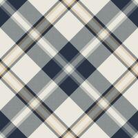 Plaid pattern vector. Check fabric texture. Seamless textile design for clothes, paper print. vector