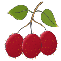 Cartoon clip art fruit rambutan with leaves PNG