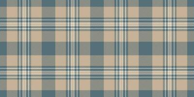 Romantic plaid vector check, geometry pattern fabric textile. 20s background texture tartan seamless in pastel and white colors.