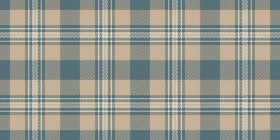 Romantic plaid vector check, geometry pattern fabric textile. 20s background texture tartan seamless in pastel and white colors.