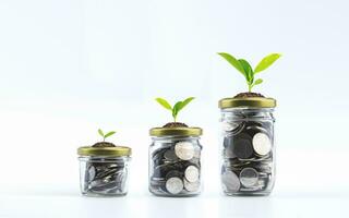 Growth of investment profits and increase in interest. Many coins in glass jar and plants of different sizes according to amount of money. concept of money management, financial planning, and savings photo