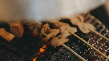 Party for barbecue japanese style, yakiniku. Meats are being cooked on stove in a japanese video