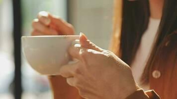 Young beautiful woman in the cafe. Warm colors. video