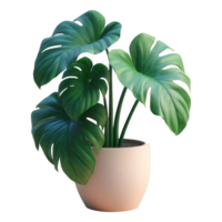 AI generated Monstera in potted isolated on transparent background. AI Generated png