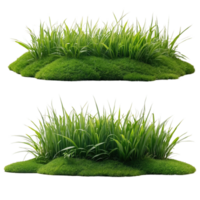 ai généré bouquet de vert herbe isolé sur transparent Contexte png