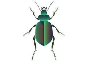 Golden Ground Beetle Vector Art isolated on White Background