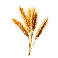 AI generated Ear of Wheat Spikelet Isolated on Transparent Background png