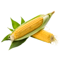 AI generated Corn Isolated on Transparent Background png