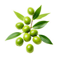 AI generated Olive with Leaves Isolated on Transparent Background png