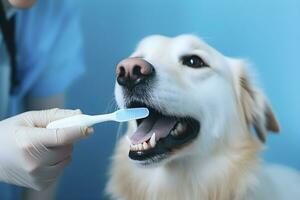 AI generated Golden retriever having his teeth cleaned. Dog grooming and care. AI generated photo