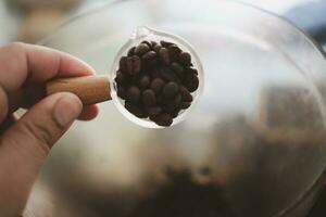 Roasted coffee beans in mini glass. photo