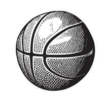 Basketball ball hand drawn sketch Sports equipment.Vector illustration vector