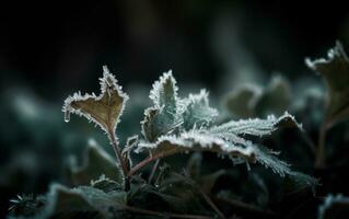 AI generated Macro dark palm plants leave photo