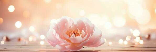 ai generado soltero peonía flor con amable bokeh sonrojo y crema blanco tonos para san valentin día concepto antecedentes foto