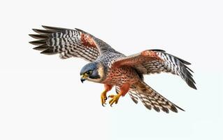 AI generated Full-Size Falcon Elegance Against a White Canvas photo