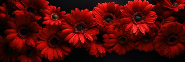 AI generated Intense Red Gerbera Daisy on Luxurious Black Satin Background with Spotlight Fiery Valentines Day Concept photo