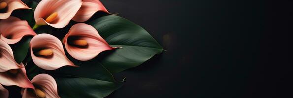 AI generated Refined Calla Lily Against Matte Black Contrast Palette for a St Valentines Day Concept Background photo