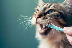 ai generado limpieza dientes de gato. aseo y mascota cuidado. ai generado foto