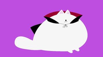 animated funny cat video