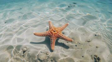AI generated Starfish in the clear blue water photo