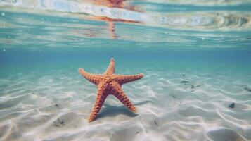 ai generado estrella de mar en el claro azul agua foto