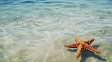 ai generado estrella de mar en el claro azul agua foto