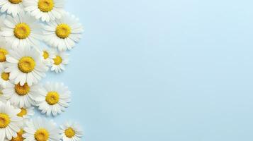 AI generated Chamomile on a pastel background with space for your text photo