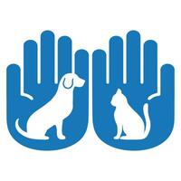 Care and concern for pets. vector