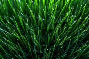AI generated Fresh and vibrant grass, a symbol of nature's growth photo