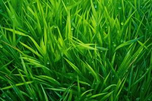 AI generated Freshly Cut Green Grass photo