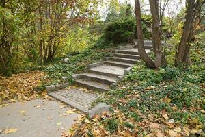 Beautiful Nature Autumn landscape. Scenery view on autumn city park with golden yellow foliage in cloudy day photo