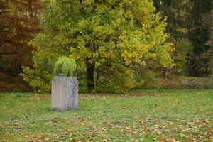 hermosa naturaleza otoño paisaje. paisaje ver en otoño ciudad parque con dorado amarillo follaje en nublado día foto