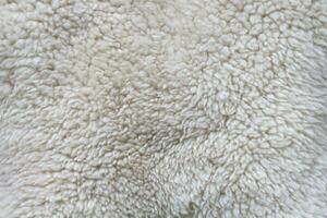 Sheep fur texture, white or gray animal patterns for nature background photo