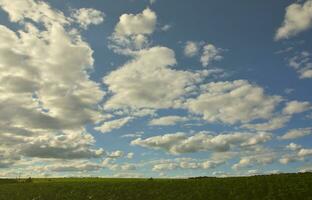 A rural landscape with a green field of late sunflowers under a cloudy blue sky photo