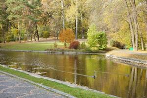 hermosa naturaleza otoño paisaje con lago. paisaje ver en otoño ciudad parque con dorado amarillo follaje en nublado día foto