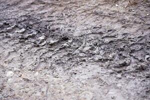 Wheel track on mud. Traces of a tractor or heavy off-road car on brown mud in wet meadow photo