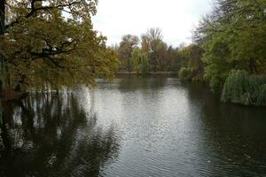 hermosa naturaleza otoño paisaje con lago. paisaje ver en otoño ciudad parque con dorado amarillo follaje en nublado día foto