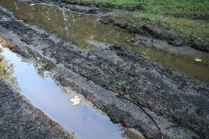 Muddy tracks with puddles on wet muddy surface in forest path photo