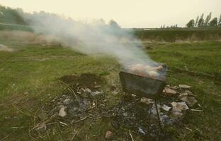 Shish kebabs from chicken wings are fried in the field. A classic barbecue in the open air. The process of frying meat on charcoal photo