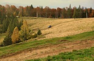 Countryside in mountains at sunrise. Grassy rural slopes with fields and trees in fall foliage in autumn photo
